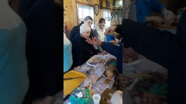 23,12,17 Мастер класс по разделке птицы смотреть онлайн