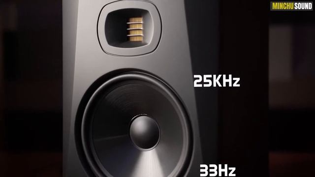 Adam Audio T8V