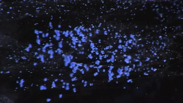 Тёща оторопела от происходящего… Часть#1 смотреть онлайн