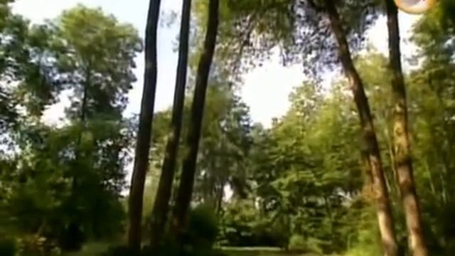 Зачарованные сады ч. 16 смотреть онлайн