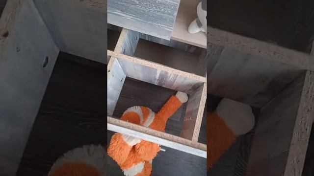 Шкаф в детскую своими руками. Самостоятельно (от чертежа до готового изделия). смотреть онлайн