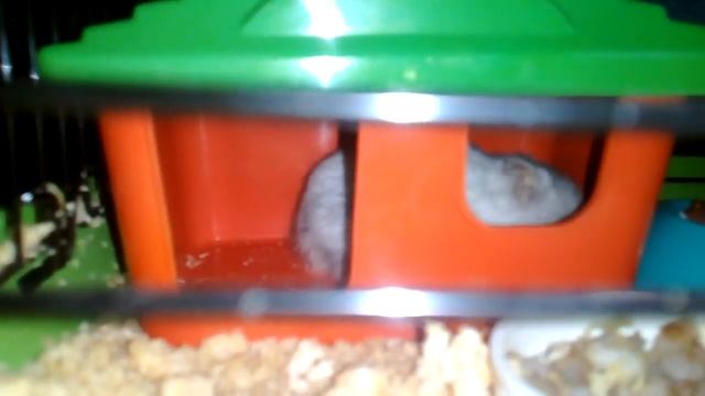 Мышка Соня...... смотреть онлайн