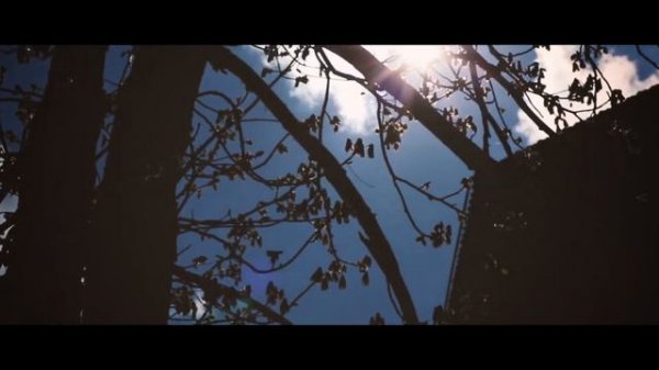 Али & Эльвира - свадебный клип