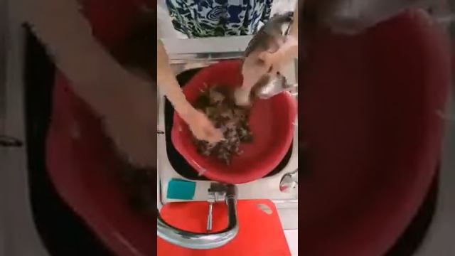 Как разделывать утку смотреть онлайн