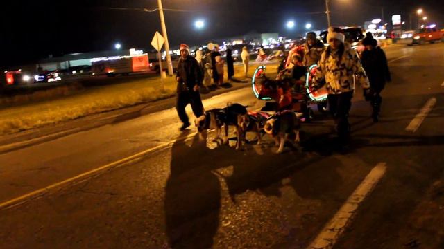 Alapaha Blue Blood Bulldogs and Rocky the Boxer pull float in parade. смотреть онлайн