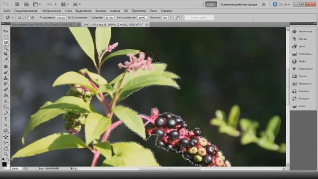 Photoshop CS 5 - Живая картина / Live Frame CreativeStation смотреть онлайн
