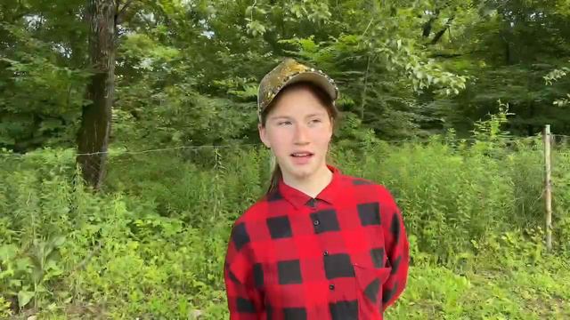 КШИ г. Находки в ДЗОЛ "Наши Гости - 3" смотреть онлайн