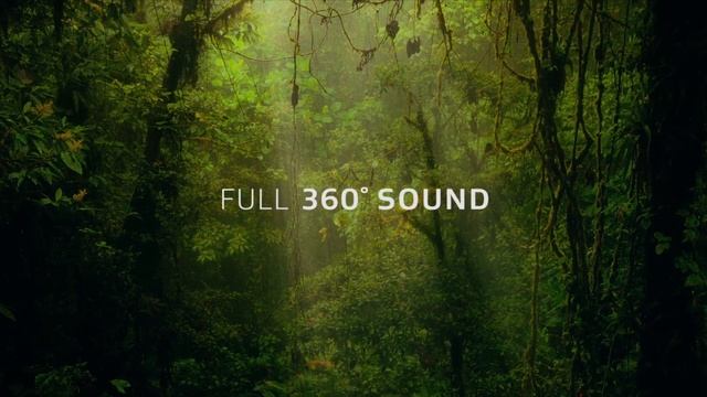 Dolby Atmos: "Amaze" | Trailer | Sound Redesign 7.1 Test смотреть онлайн