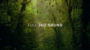 Dolby Atmos: «Amaze» | Trailer | Sound Redesign 7.1 Test
