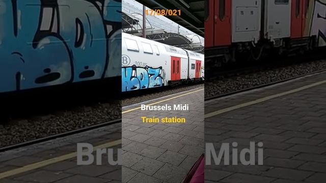 Brussels Midi #short