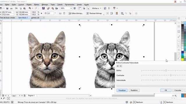 Efeito reticula ou meio-tom no Corel смотреть онлайн