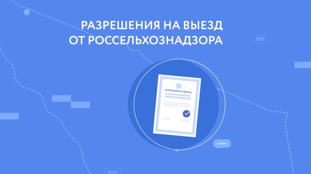 Перевозка животных в Израиль смотреть онлайн
