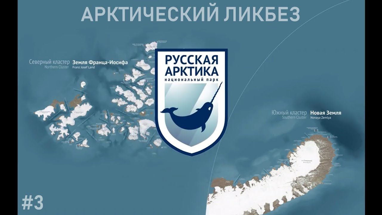 Беседа с Еленой Фрунзе, руководителем визит-центра "Арктическое посольство" смотреть онлайн