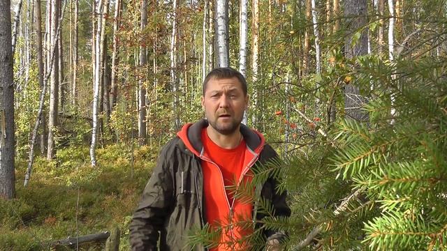 Всеволожск - КС - Песнь о вещем Олеге смотреть онлайн