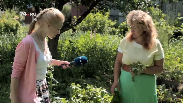 О травах. Как заварить полезный чай смотреть онлайн
