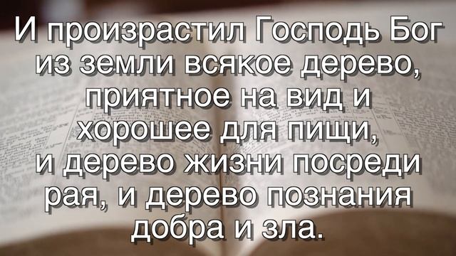 Аудио Библия | Книга Бытие 1,2,3 главы! План Чтения Библии (День 1 из 365) смотреть онлайн