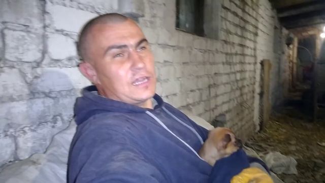 Всем большое спасибо,что поучаствовали в выборе имени нашей собачки!!! смотреть онлайн