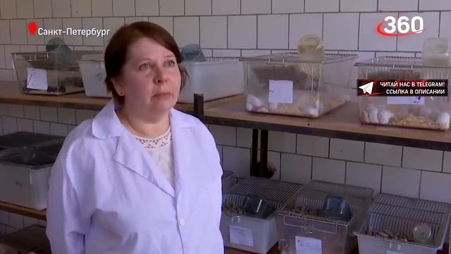 Видали! Не хотят останавливаться! Нужно знать самим и предупредить своих детей о таких продуктах смотреть онлайн