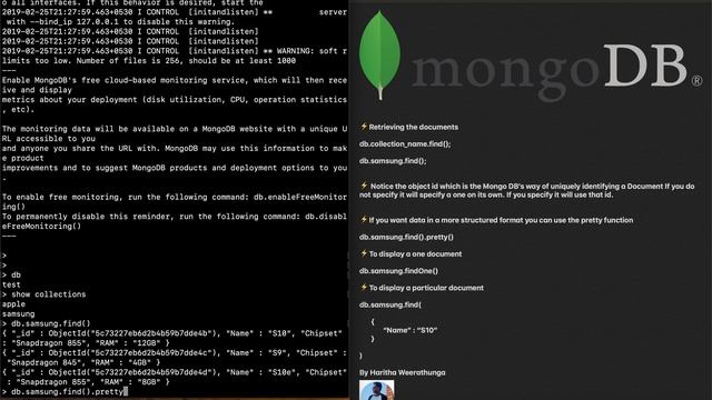 Mongo DB in Sinhala 5 - Retrieving the Documents Part 1 смотреть онлайн