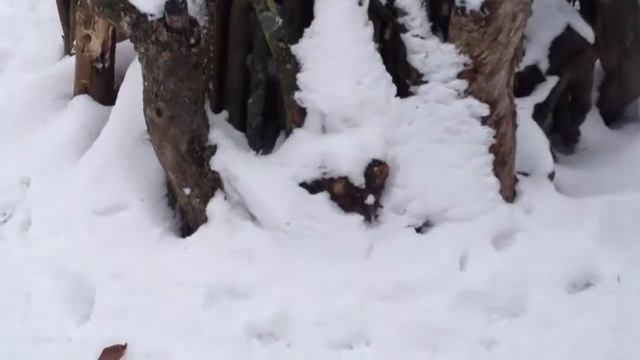 Танцы на снегу смотреть онлайн