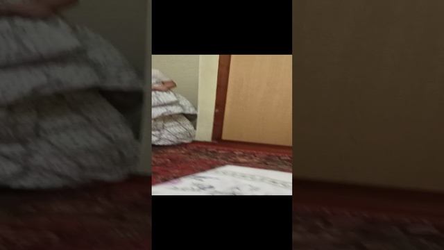 VID_20231104_223956.mp4 смотреть онлайн