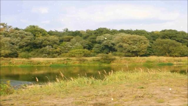 ФОНОГРАММА Дорога трудная, порой тернистая смотреть онлайн