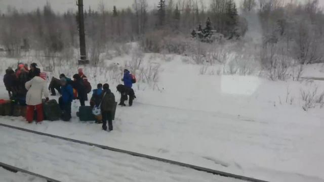Станция Сейда Поезд 376 Москва -Воркута 12.11.2013 смотреть онлайн
