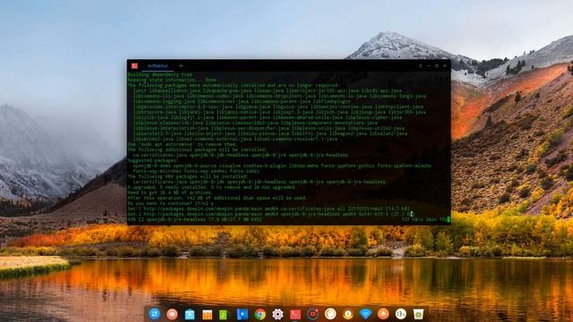 Install open jdk 8 in Linux Deepin смотреть онлайн