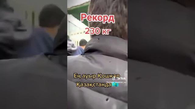 Миллион Чемпион Рекорд 230кг Книгу рекордов гиннеса попал Казакстан смотреть онлайн