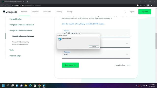 How to install MongoDB on Windows 11 | Install MongoDB & Mongo Shell | Todo MERN App смотреть онлайн