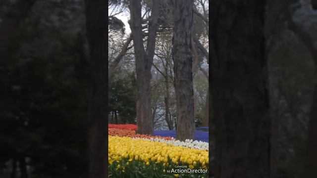 ТУРЦИЯ В КРАСКАХ. смотреть онлайн