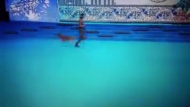 WDS 2016 Танцы с собаками, Люси и Дерил смотреть онлайн