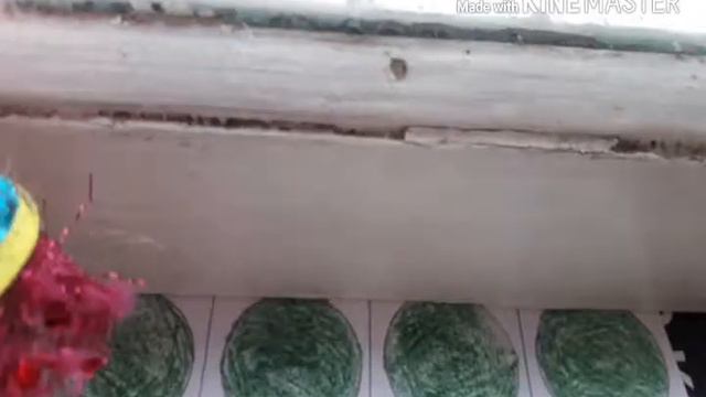 Александра И Ангелина Шибаджуку Играют В Твистер... смотреть онлайн