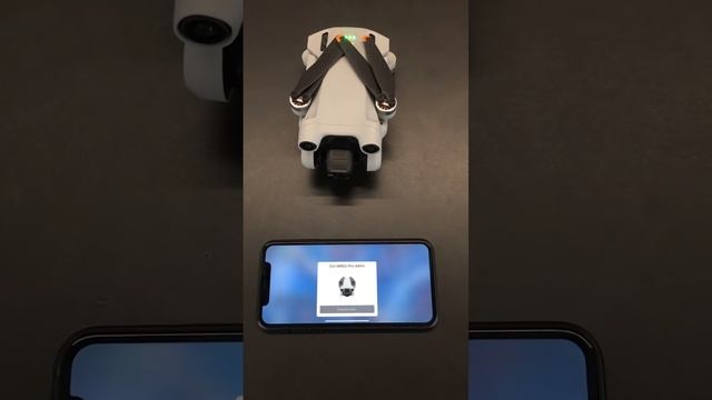 Функция QuickTransfer DJI Mini 3 Pro ? #shorts смотреть онлайн