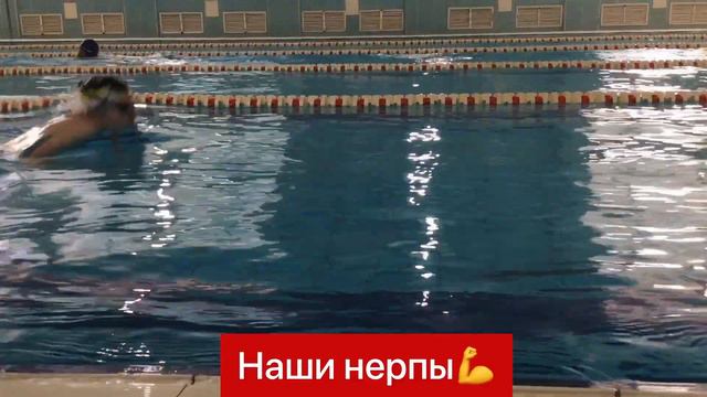 Плавательный клуб «Нерпа» смотреть онлайн