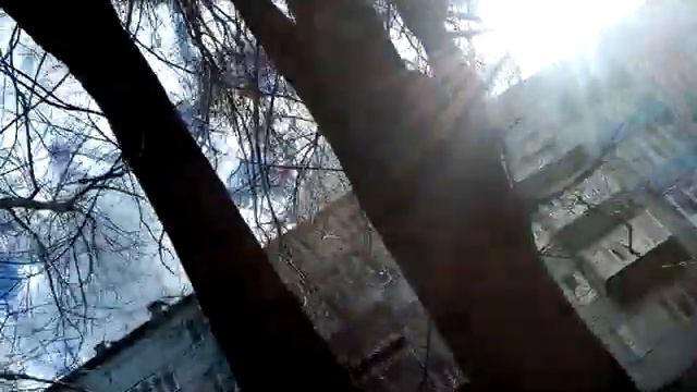 Как кота Боба в Сызрани спасали смотреть онлайн