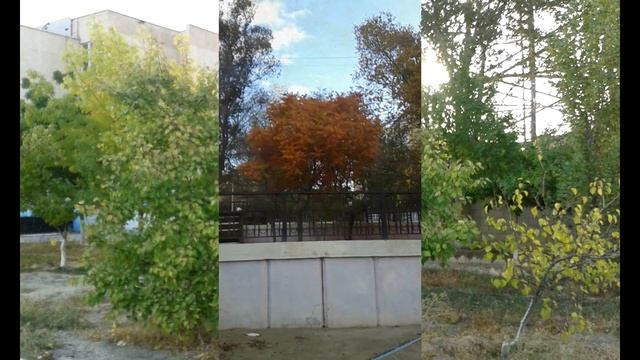 Поздняя осень в Актау смотреть онлайн