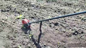 Ручной пропольник междурядьев. Или как быстро прополоть огород