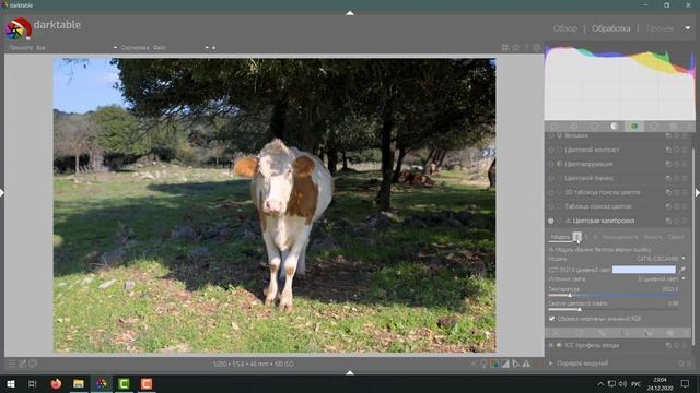 Darktable 3 4 смотреть онлайн