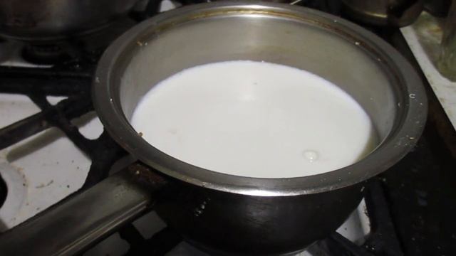 Зоопарк и Дикие Животные