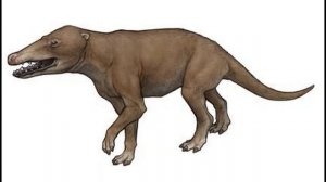 Древний предок кита | Эволюция китов | Пакицет