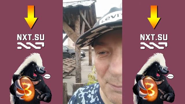 БАРСУК МЕДОЕД О МИНИМАЛИСТИЧНОЙ ПОСТРОЙКЕ смотреть онлайн