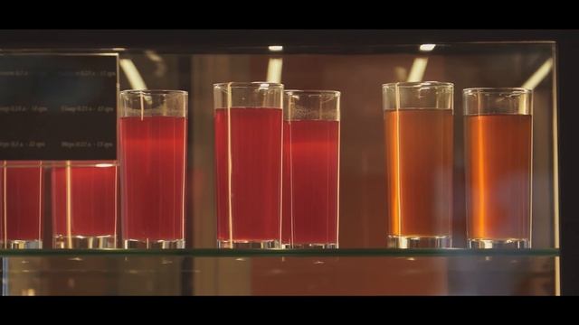 По Европе на Volkswagen Touran - VEDDROSHOW ЖЕНЕВА - Часть 1 смотреть онлайн