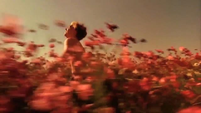 Дневник баскетболиста Леонардо Ди Каприо смотреть онлайн