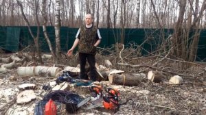 Спил деревьев на дачном участке в Московской области