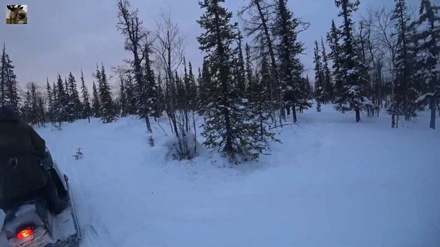Рабочий день оленевода / Загон стада оленей смотреть онлайн