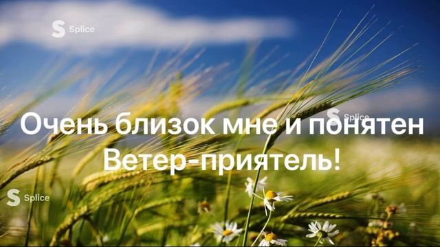 ветер приятель. Караоке. В час когда город ещё видит сны и просыпается солнце смотреть онлайн
