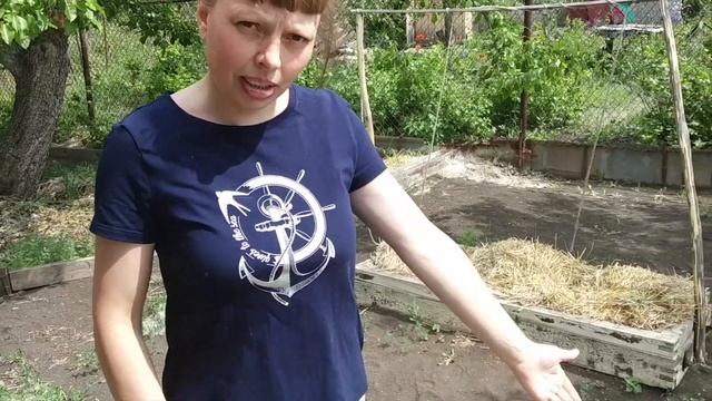 ГОРЕЦ ПТИЧИЙ, КАК ПОЧВОПОКРОВНАЯ ТРАВА смотреть онлайн