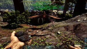 Диморфодон Dimorphodon в АРК  Лучший обзор приручение, разведение и способности  в ark