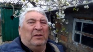 Сеем эспарцет весной.